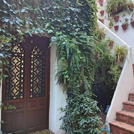 Dama De Noche Apartman *