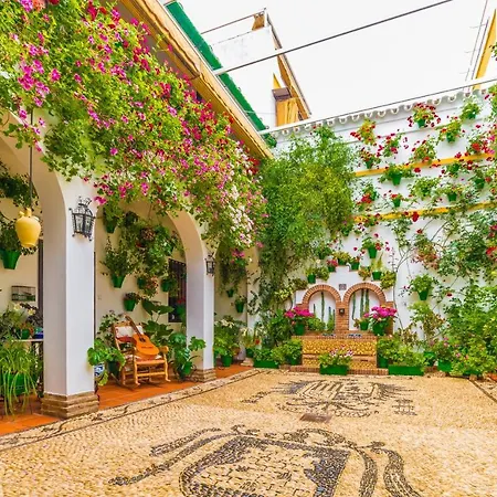 Apartamento Dama De Noche