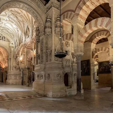 Dama De Noche * Córdoba