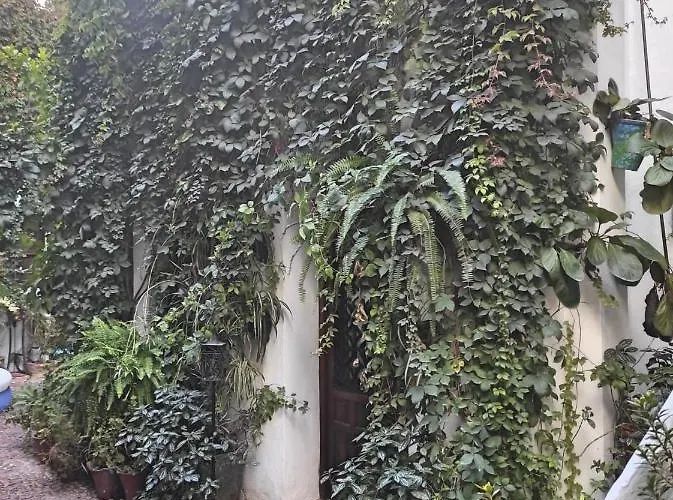 Dama De Noche 科爾多瓦