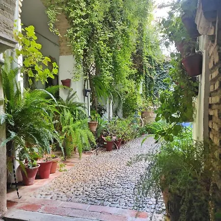 Dama De Noche Córdoba