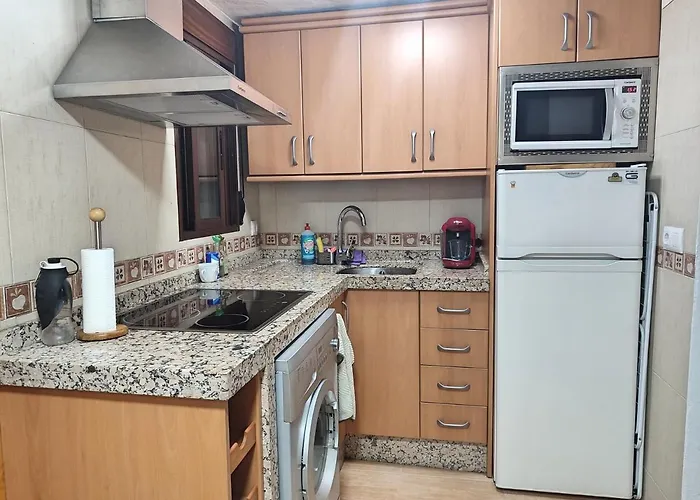 Dama De Noche Córdoba