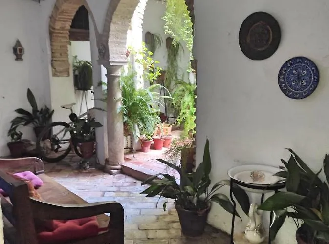 Lägenhet Dama De Noche Córdoba