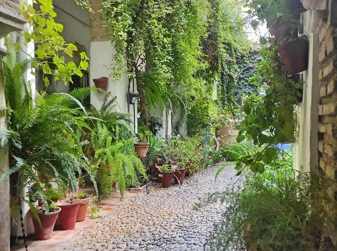 Dama De Noche Córdoba